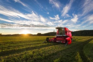 KUS Combine Harvester in Sunset Light